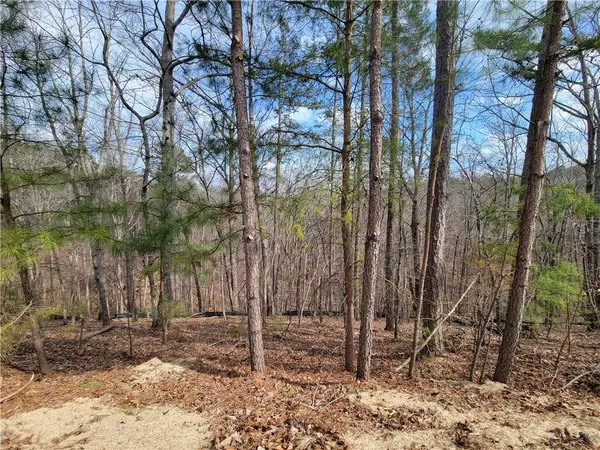Cartersville, GA 30121,16 Somerset LN