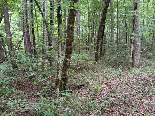 Talking Rock, GA 30175,1634 Carman WAY