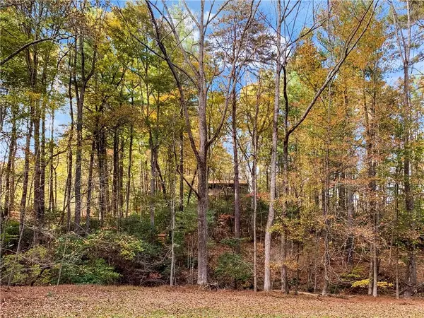 Ellijay, GA 30536,125 Waters RD