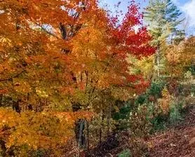 0 Edinborough CT, Ellijay, GA 30143