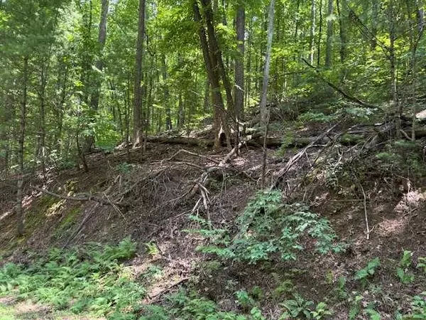 Ellijay, GA 30536,0 Mountain View CT