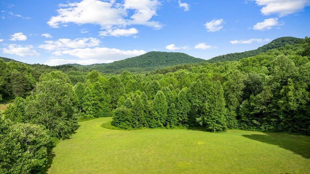 Blue Ridge, GA 30513,225 Cohutta Ranch RD