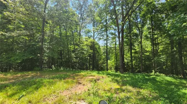 Dawsonville, GA 30534,134 Cicero TRL