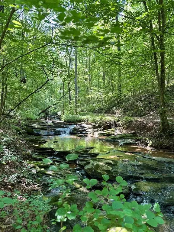 Jasper, GA 30143,0 Hidden Creek Rd