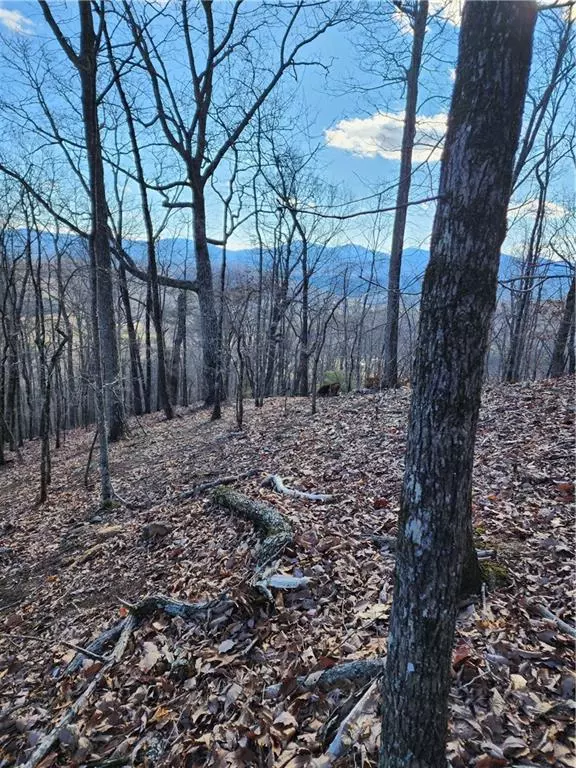 Blairsville, GA 30514,000 Trackrock Gap RD