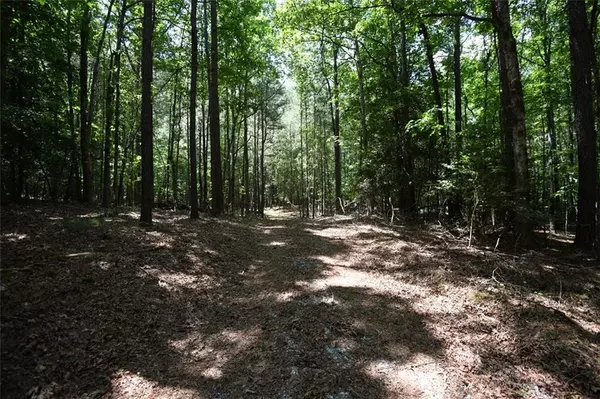 Lawrenceville, GA 30045,3269 Callie Still RD
