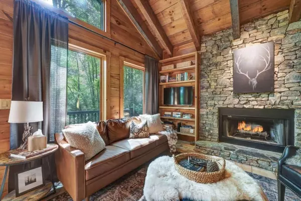 Blue Ridge, GA 30513,1 Cadmans Hammock