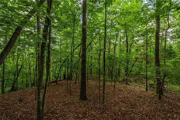 Dawsonville, GA 30534,Trct 3 Lawrence RD