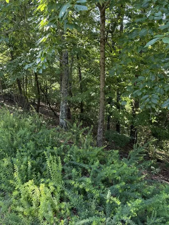 Ranger, GA 30734,1579 Dallas CT