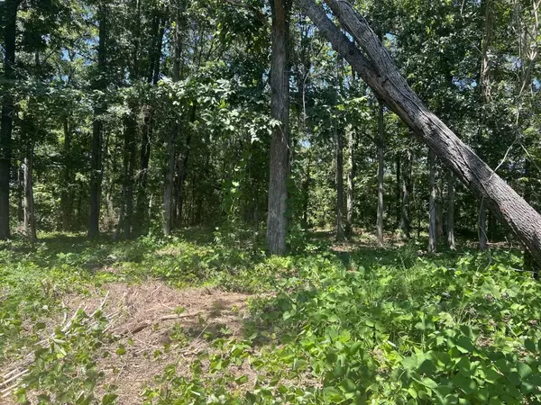 Dallas, GA 30157,762 Villa Rica HWY