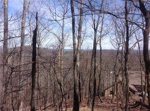Big Canoe, GA 30143,8112 Disharoon DR