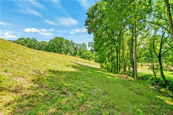 Morganton, GA 30560,LOT 22 Lower Ridge TRL