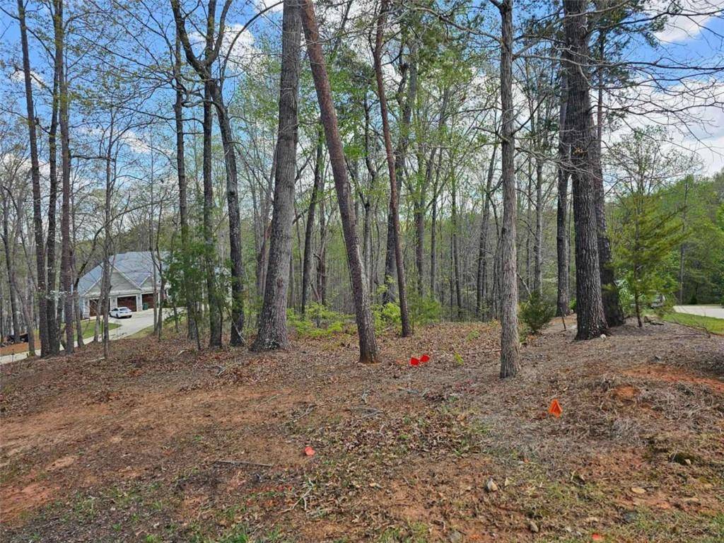 Toccoa, GA 30577,173 Edgewater TRL