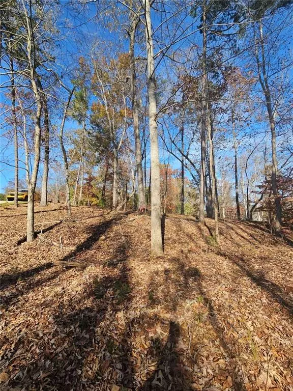 Toccoa, GA 30577,173 Edgewater TRL