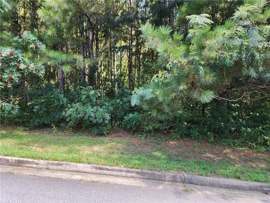 Dallas, GA 30132,91 Cannon Ridge VW