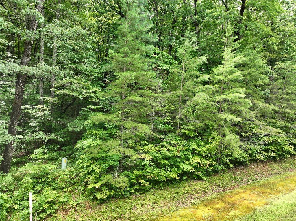 Ellijay, GA 30536,67 St Andrews WAY