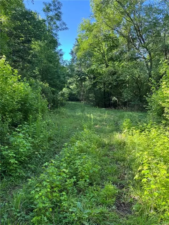 Buckhead, GA 30625,0 Saffold RD