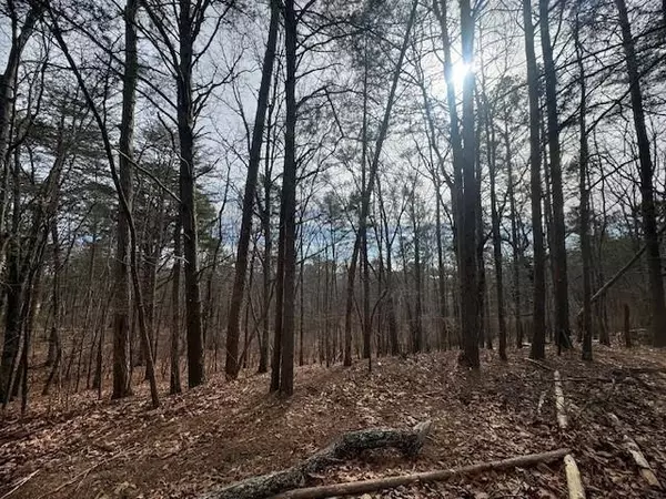 Waleska, GA 30183,117 Leopard CT