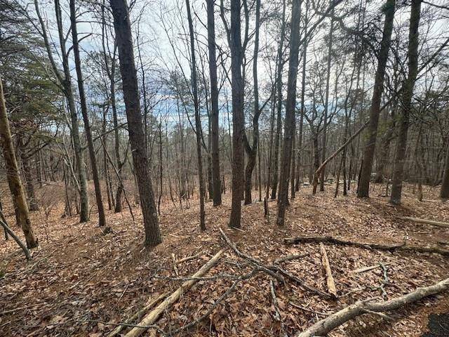 Waleska, GA 30183,117 Leopard Court