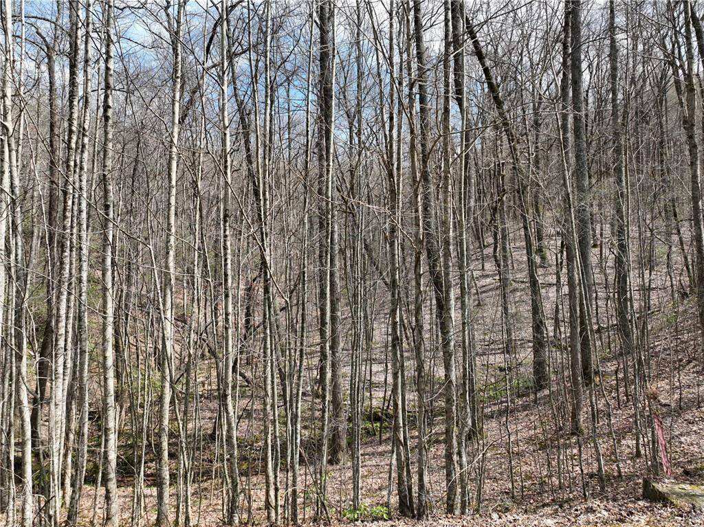 64 St Andrews WAY, Ellijay, GA 30536