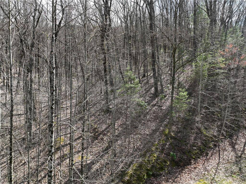 Ellijay, GA 30536,65 St Andrews WAY