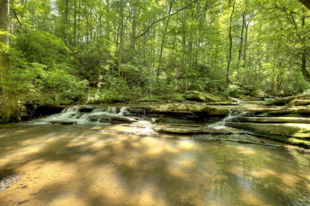 Ellijay, GA 30540,7843 W Hwy 382