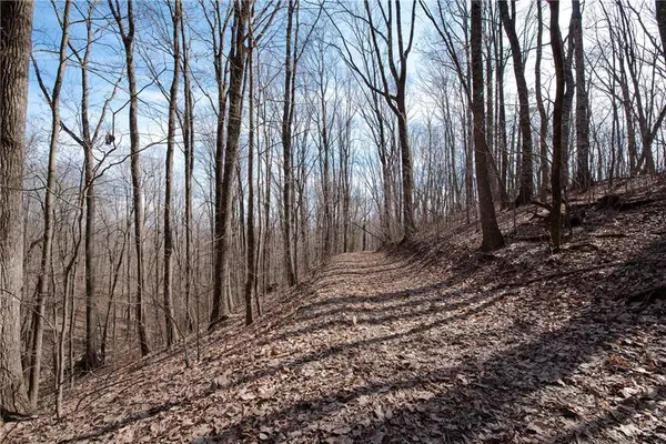 Murrayville, GA 30564,20.65 Acres Mincie Mountain