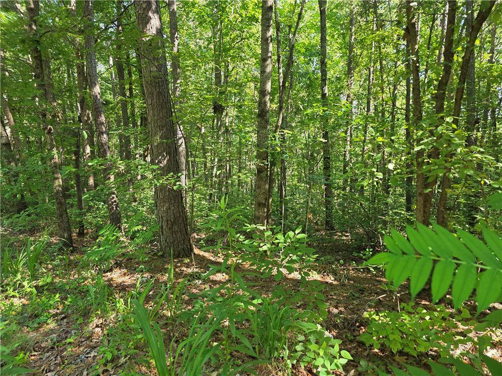 Ball Ground, GA 30107,0 Harley TRL
