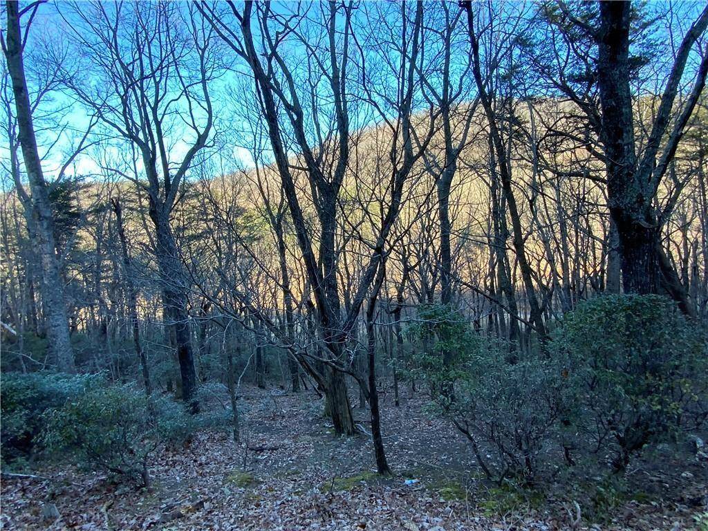 Jasper, GA 30143,0 Mulligan WAY