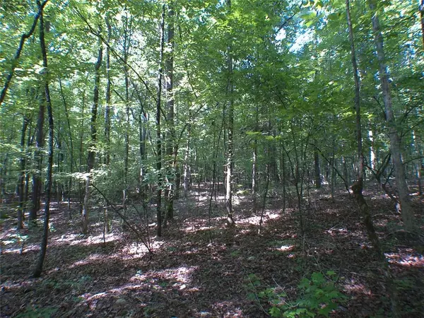 Eatonton, GA 31024,104 Lo Valley DR