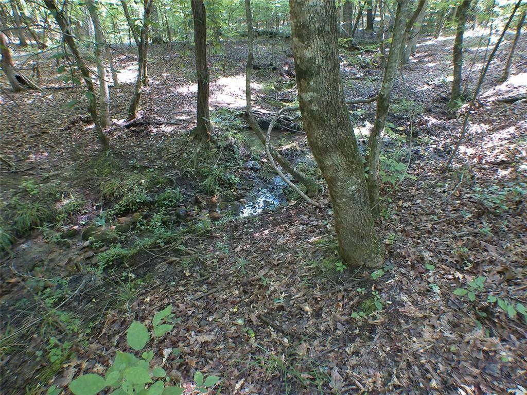 Eatonton, GA 31024,104 Lo Valley DR
