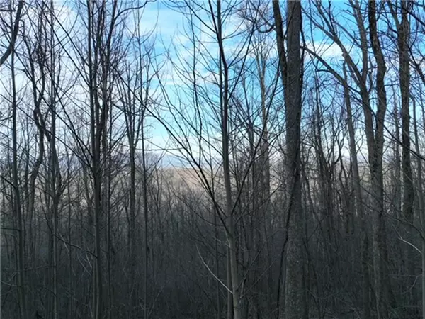 Ellijay, GA 30536,279 Andes RDG