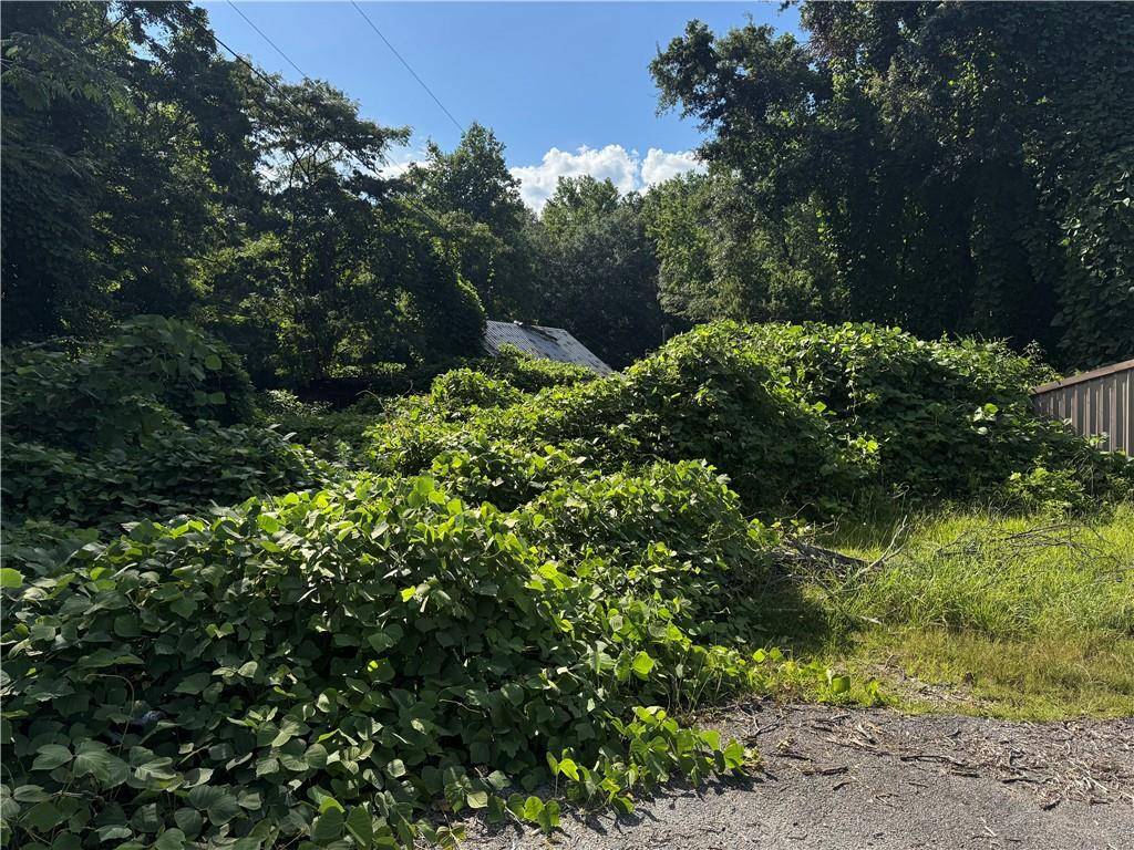Dawsonville, GA 30534,85 Maple Street N.