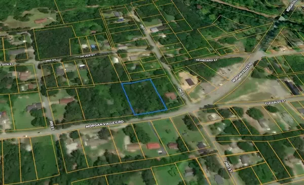 0 Morgan Valley RD, Rockmart, GA 30153