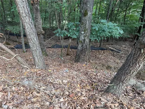 Gainesville, GA 30506,3524 Lake Ridge DR