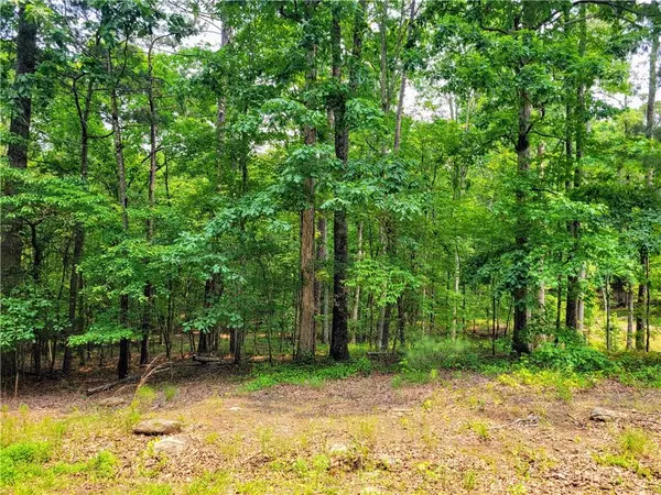 Villa Rica, GA 30180,3234 Greenhill DR