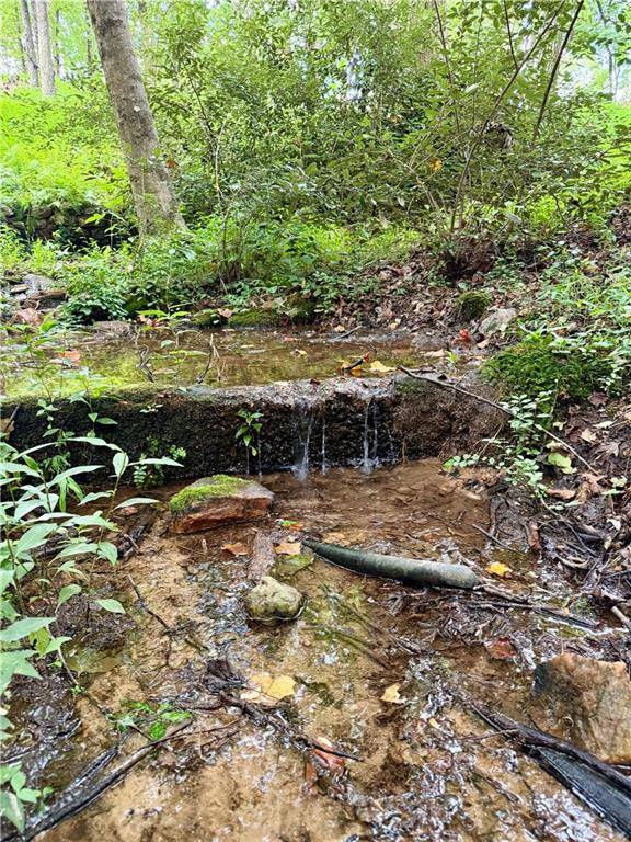 Cornelia, GA 30531,8675 Pea Ridge Rd