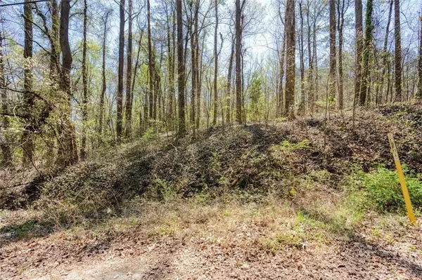 Marietta, GA 30060,959 Old Milford Church RD SW