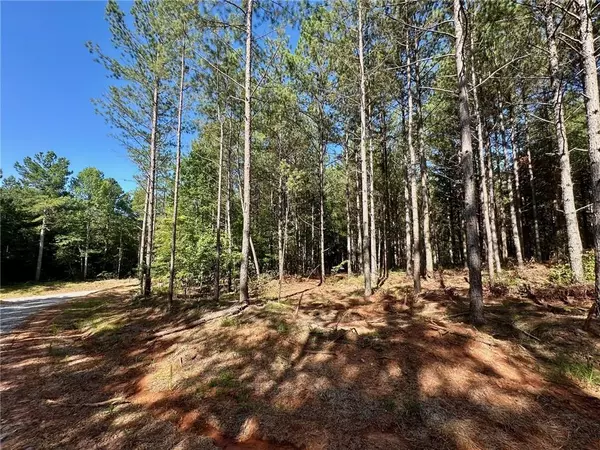 Dahlonega, GA 30533,6 Patriot View