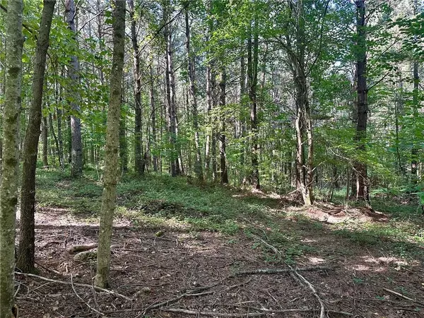Dahlonega, GA 30533,6 Patriot View