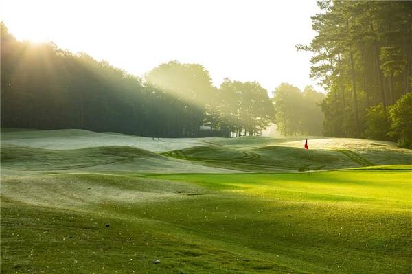 120 Hawks CT, Ball Ground, GA 30107