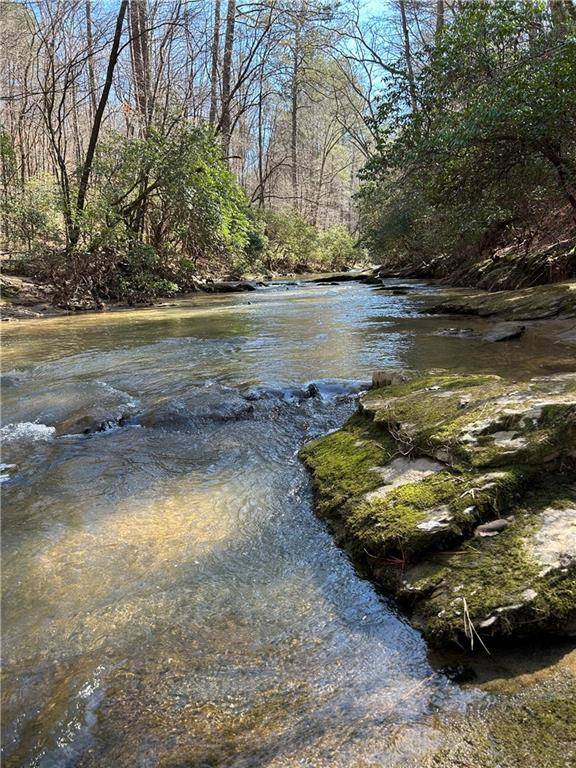 0 Coffee Mill RUN, Talking Rock, GA 30175