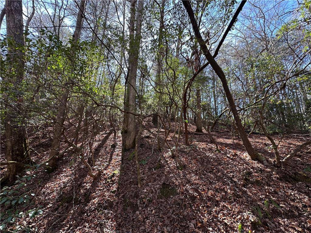 Talking Rock, GA 30175,0 Coffee Mill RUN