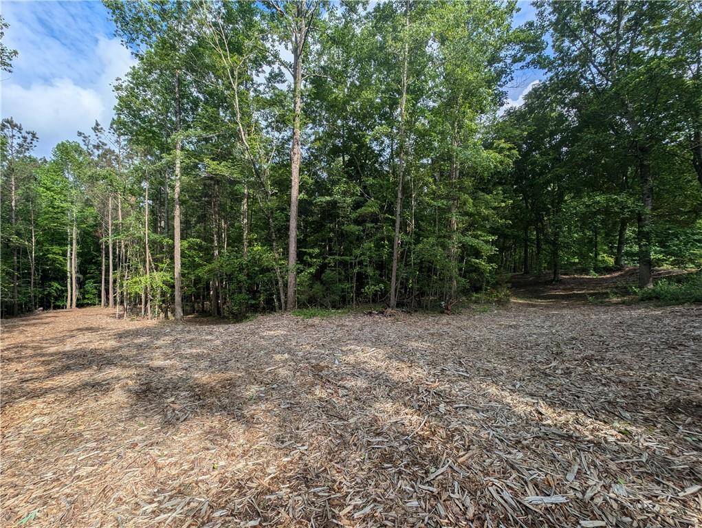 379 Marvin Land LN, Canton, GA 30115