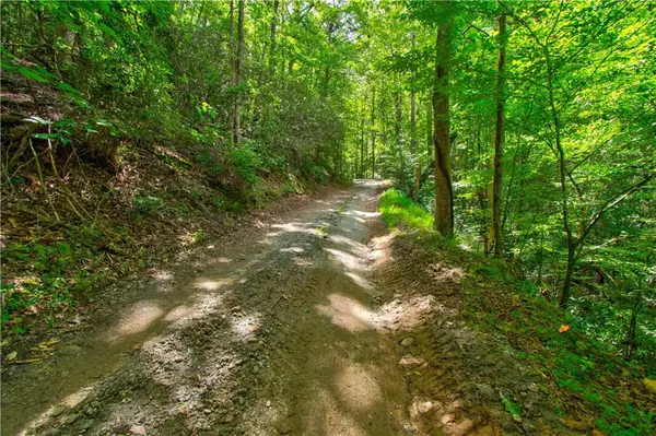 Dahlonega, GA 30533,0 Hubbs DR