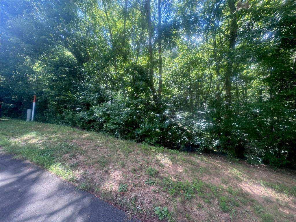 Jasper, GA 30143,Lot 36 Hampton Farms Trail TRL
