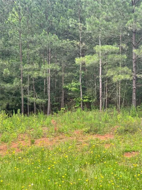 White, GA 30184,14 Lake CT