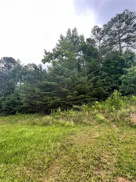 14 Lake CT, White, GA 30184