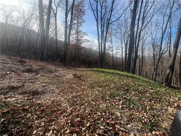 Talking Rock, GA 30175,0 High Summit DR