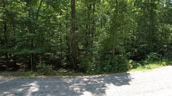 Ellijay, GA 30540,0 Jumper DR